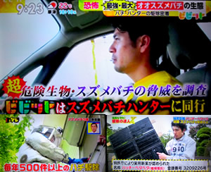 蜂駆除のテレビ出演_06
